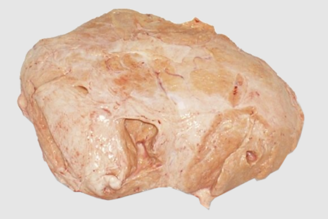 Вим'я яловиче, заморожене, 1 кг